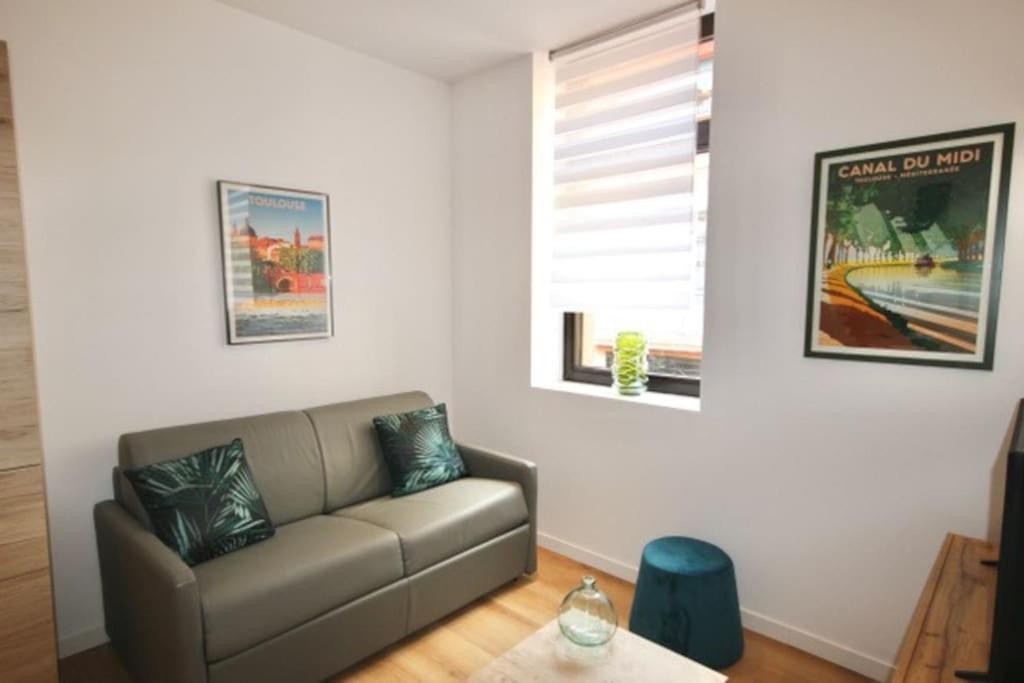 Au Gout Du Jour Climatise Apartment ตูลูส ภายนอก รูปภาพ